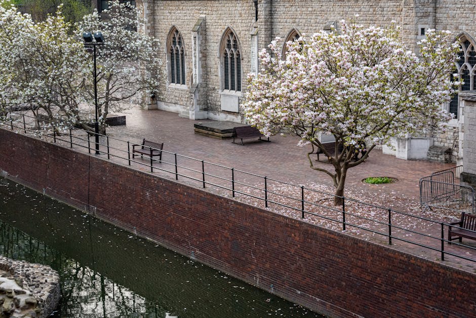 A view of St John's Square with a stone church in the background, featuring tall arched windows and stone walls. In the foreground, a brick canal wall runs alongside the water, with a paved walkway above it. The walkway is lined with black metal railings and is decorated with fallen flower petals from nearby blossom trees. Two benches are positioned along the path, and a small tree with white and pink blossoms stands prominently, its branches extending over the walkway. The scene is dotted with additional blossom trees, some with white flowers, creating a picturesque and peaceful environment typical of historic Clerkenwell. The lighting is natural, suggesting a bright, clear day, suitable for a home relocation or moving service analysis as referenced in the page title, with no people visible in the scene.
